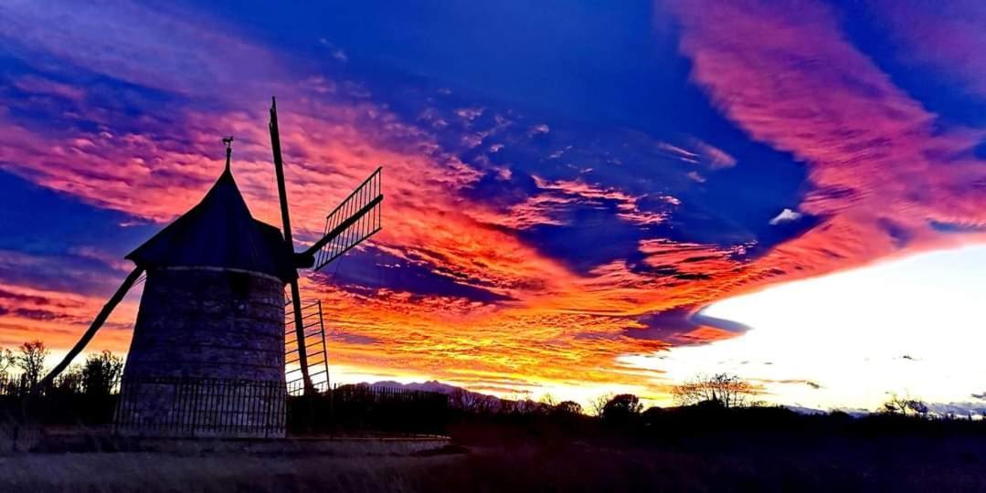 Pitaya Daire Claira Dış mekan fotoğraf